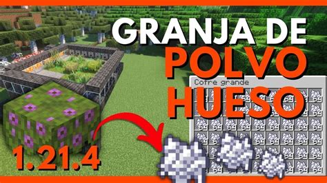 Infografía mostrando cómo cultivar pepinos de mar con polvo de hueso en Minecraft