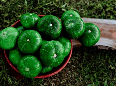 Zapallitos verdes frescos, listos para usar en la tarta