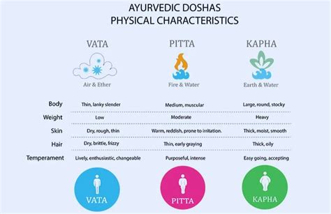 Ilustración que representa los tres doshas ayurvédicos (Vata, Pitta, Kapha)