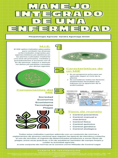 Infografía sobre el manejo integrado de enfermedades radiculares: combinación de control químico, biológico y cultural.