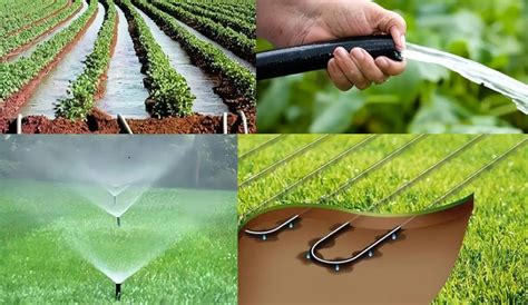 Infografía comparativa de los diferentes métodos de riego para protección contra heladas, mostrando el consumo de agua y la eficacia.