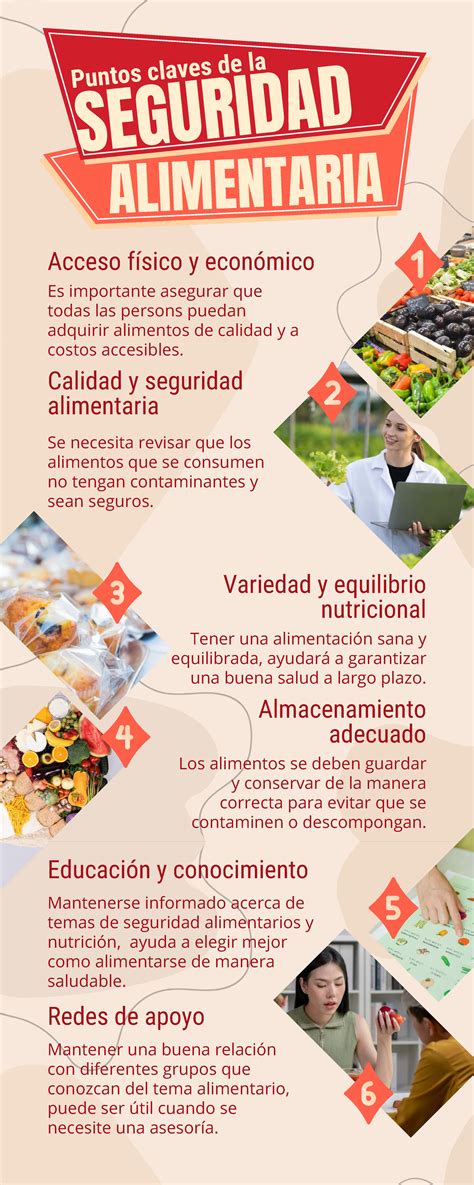 Infografía didáctica sobre seguridad alimentaria al manipular carnes