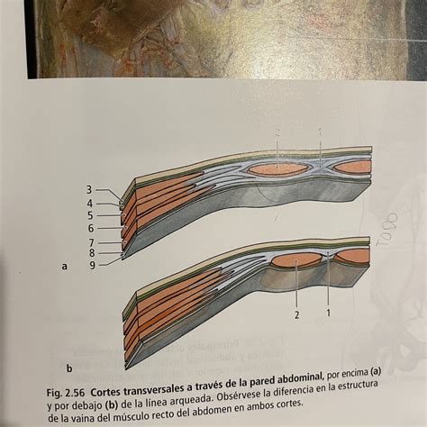 Corte transversal de la pared de un camión frigorífico mostrando las capas de FRP, poliuretano y la estructura metálica.