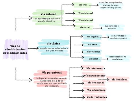 Gráfico comparativo de las diferentes vías de formación para preparador físico