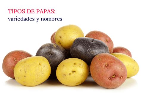 Imagen de diferentes tipos de papas ideales para sopas cremosas.