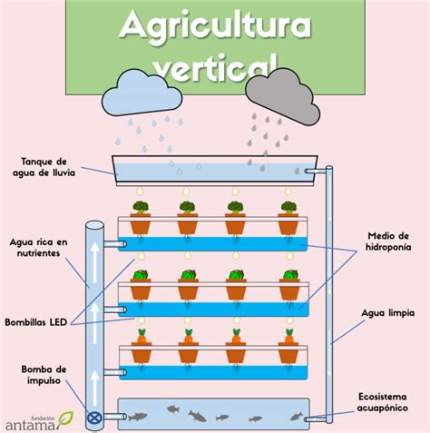 Esquema de agricultura vertical en invernadero para cultivo de arroz