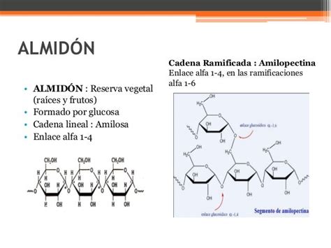 Diagrama mostrando la estructura de un gránulo de almidón.