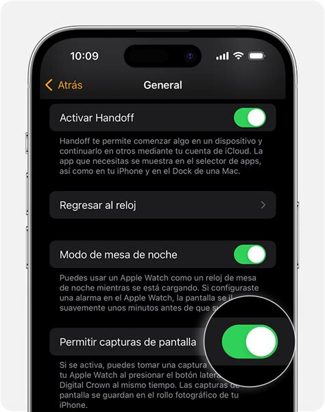 Captura de pantalla mostrando la opción 