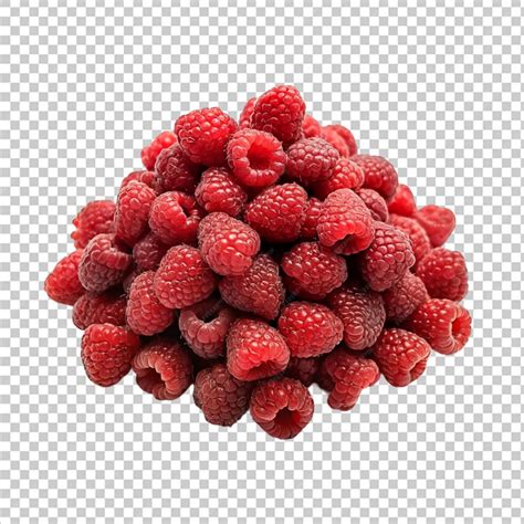 Fotografía de bayas de frambuesa Maravilla, destacando su tamaño, color y forma.
