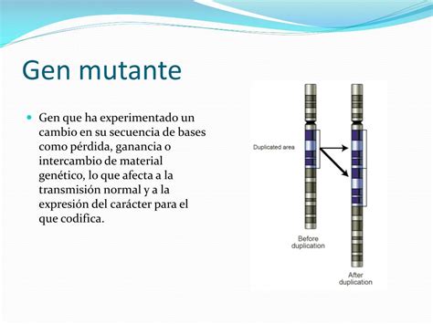 Gráfico comparativo: expresión de genes en líneas mutantes vs. silvestres bajo estrés salino y alcalino.