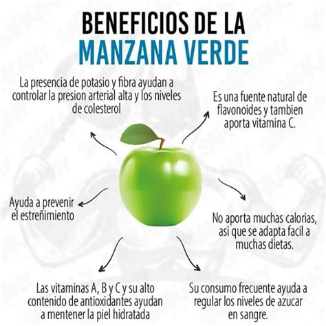 Representación visual del efecto calmante del aroma de la manzana verde en el cerebro.