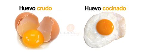 Ilustración comparativa de un huevo crudo y un huevo cocido, resaltando los riesgos del primero.