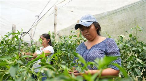 capacitación técnica para mujeres agricultoras en Latinoamérica