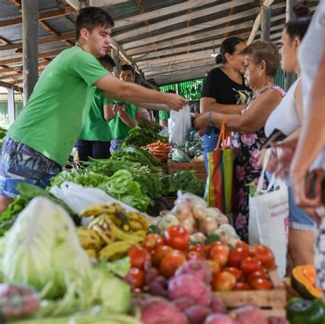 Temático de agricultores locales en Aysén vendiendo sus productos frescos