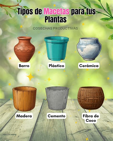 Ilustración: Tipos de macetas con buen drenaje y materiales transpirables