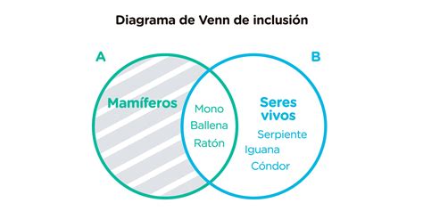 Diagrama mostrando las diferencias entre pliegos con medio corte, rollos de impresión y entrega individual de etiquetas.