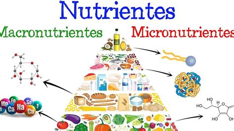 Ilustración de los macronutrientes y micronutrientes presentes en el yogur.