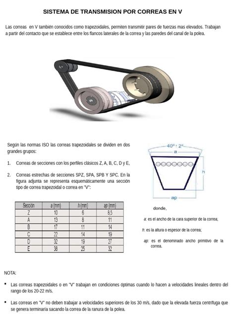 Esquema del sistema de transmisión por correa en V de una sobadora industrial