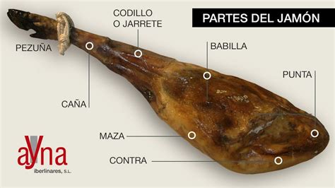 Esquema de las partes de un jamón ibérico, con énfasis en la pezuña negra