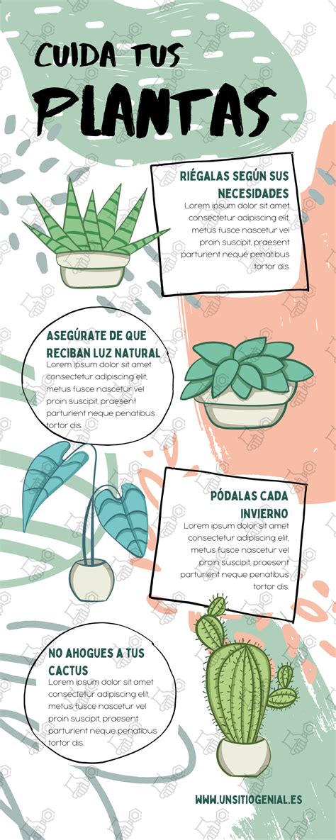 Infografía comparativa de diferentes plantas conocidas como 