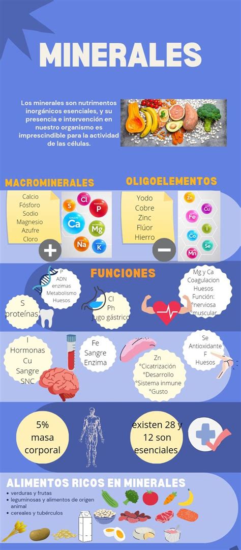 Infografía con los principales nutrientes de los guisantes: proteínas, hidratos de carbono de absorción lenta, minerales (hierro, potasio, magnesio), vitaminas (A, C, K) y fibra.