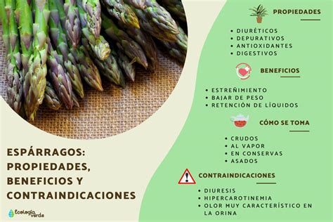 Infografía comparativa de los valores nutricionales de los espárragos verdes y blancos.