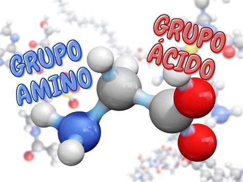 Gráfico que detalla la composición de aminoácidos de la gelatina