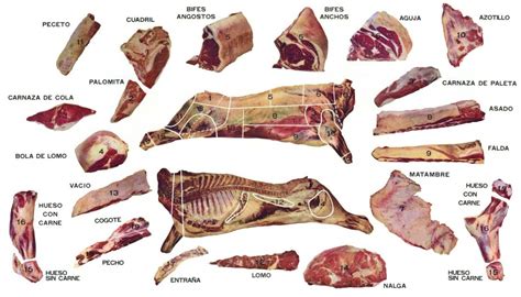 Ilustración mostrando diferentes cortes de carne de ternera y sugiriendo el método de cocción ideal para cada uno (plancha, guiso, horno, barbacoa).