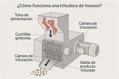 Diagrama esquemático de una trituradora de granos mostrando sus componentes principales y el flujo del material.