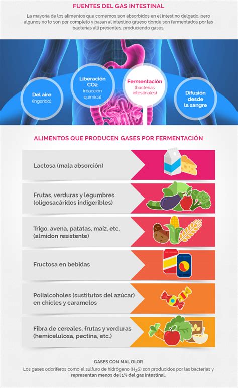 Infografía mostrando alimentos que comúnmente causan gases e hinchazón.