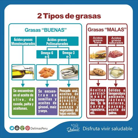 Infografía comparativa de diferentes tipos de grasas y sus efectos en la salud.