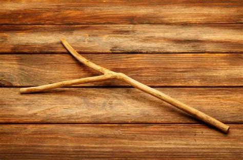 Ilustración de una varita de zahorí hecha de madera de avellano.