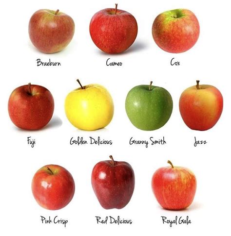 varias manzanas de diferentes tipos apiladas