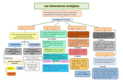 Mapa conceptual que ilustra las interconexiones entre diferentes áreas de estudio y colaboradores.