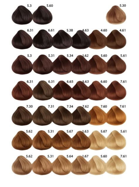 Esquema visual que muestra la transición de tonos castaños naturales hacia la profundidad del color chocolate