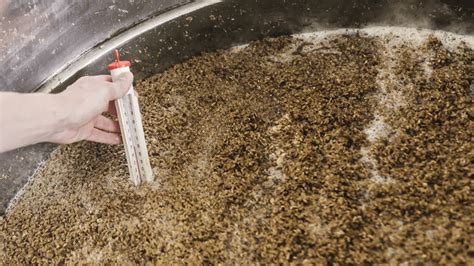 esquema de maceración de granos de cerveza