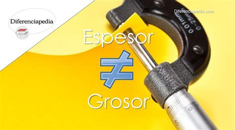 Esquema visual que muestra la diferencia entre el grosor de 1mm de la masa fresca antes del corte y la textura elástica final de los fettuccine.