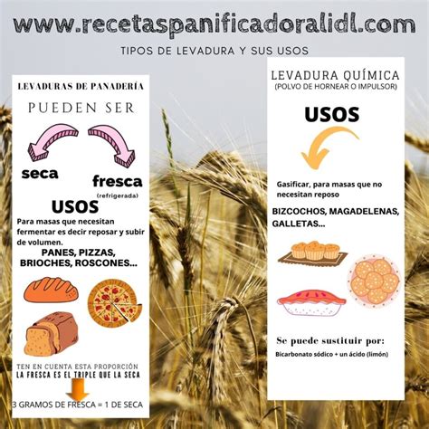 Gráfico comparativo entre levadura líquida y seca, destacando diferencias en viabilidad y diversidad de cepas.