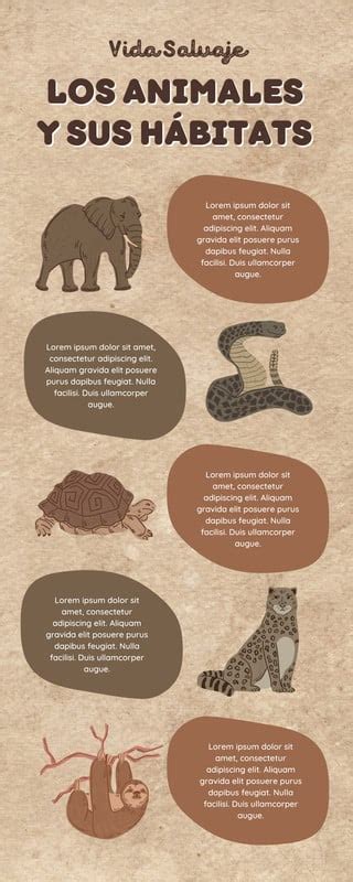 Infografía comparativa de Nutri-Score para productos vegetales y animales.