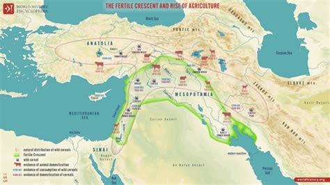 Infografía mostrando la ubicación de Mesopotamia en el Creciente Fértil y sus principales civilizaciones.