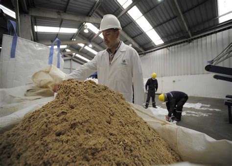 harina de pescado en un entorno industrial