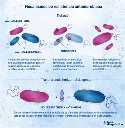 infografía sobre la transferencia de genes de resistencia a antibióticos en el medio marino