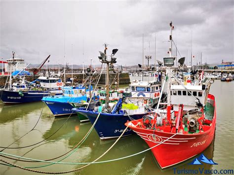 puerto pesquero con barcos y pontones industriales