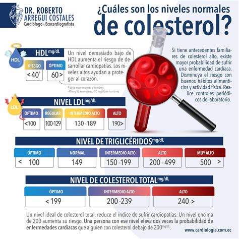 Infografía comparativa de los niveles de colesterol LDL y HDL antes y después del consumo regular de alcachofa.