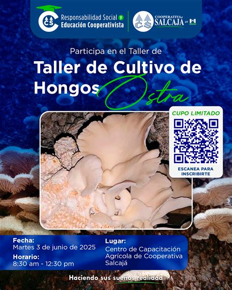 Fotografía de un taller práctico de cultivo de hongos ostra.