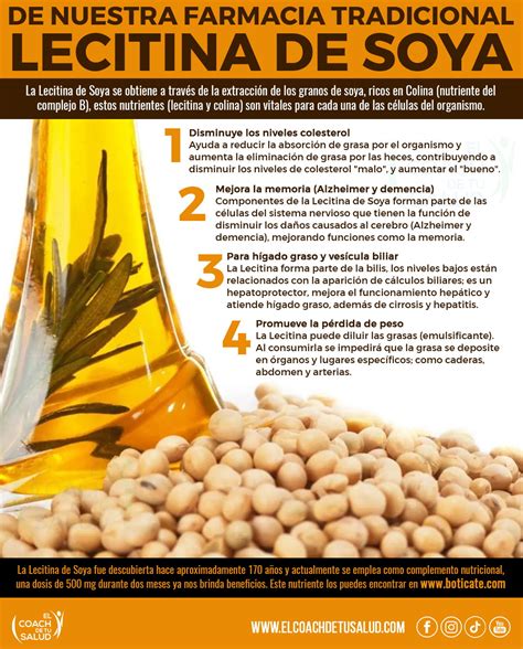 Infografía sobre los beneficios para la salud de la soya