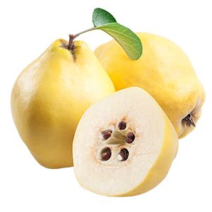 fruto de membrillo fresco de color amarillo dorado