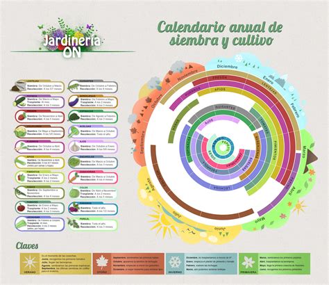 Infografía sobre el calendario de siembra: épocas recomendadas para variedades de invierno (resistentes al frío) y de verano.