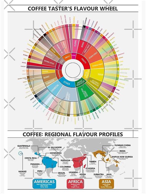 Infografía comparando los perfiles de sabor del café caliente y frío