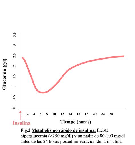 Gráfico lineal que ilustra la curva típica de respuesta de glucosa en sangre tras el consumo de arroz con leche.